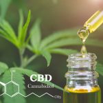 CBD  elements in Cannabis, Hemp oil, medical marijuana,  cannab